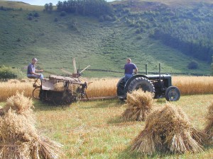 http://www.wildlifetrusts.org/living-landscape/farming